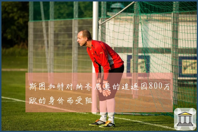 斯图加特对纳齐尼奥的追逐因800万欧的身价而受阻