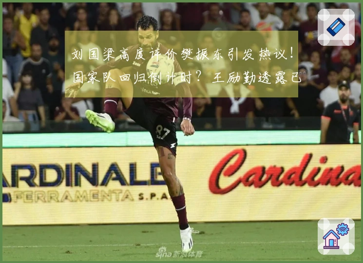 刘国梁高度评价樊振东引发热议！国家队回归倒计时？王励勤透露已有沟通