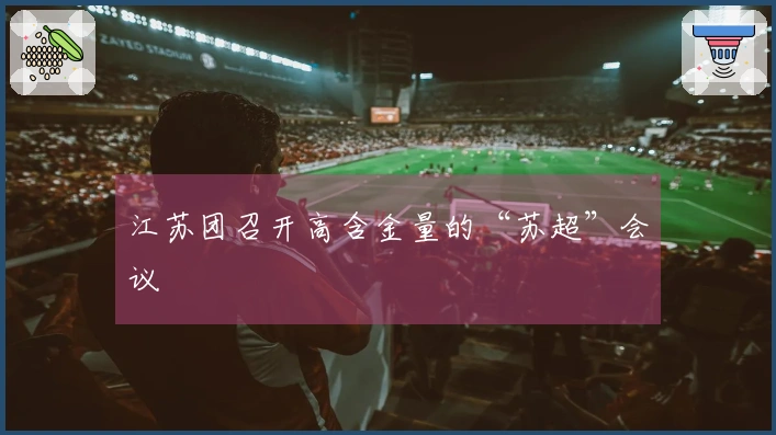 江苏团召开高含金量的“苏超”会议